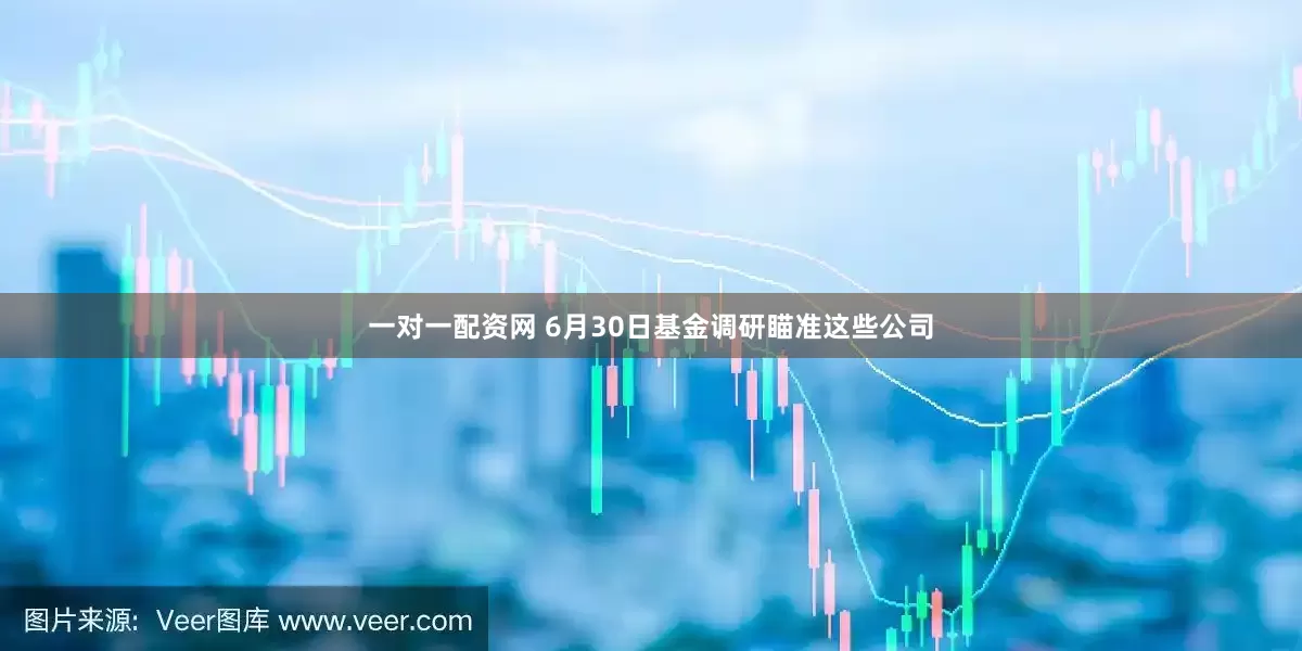 一对一配资网 6月30日基金调研瞄准这些公司