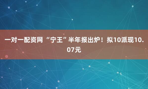一对一配资网 “宁王”半年报出炉！拟10派现10.07元